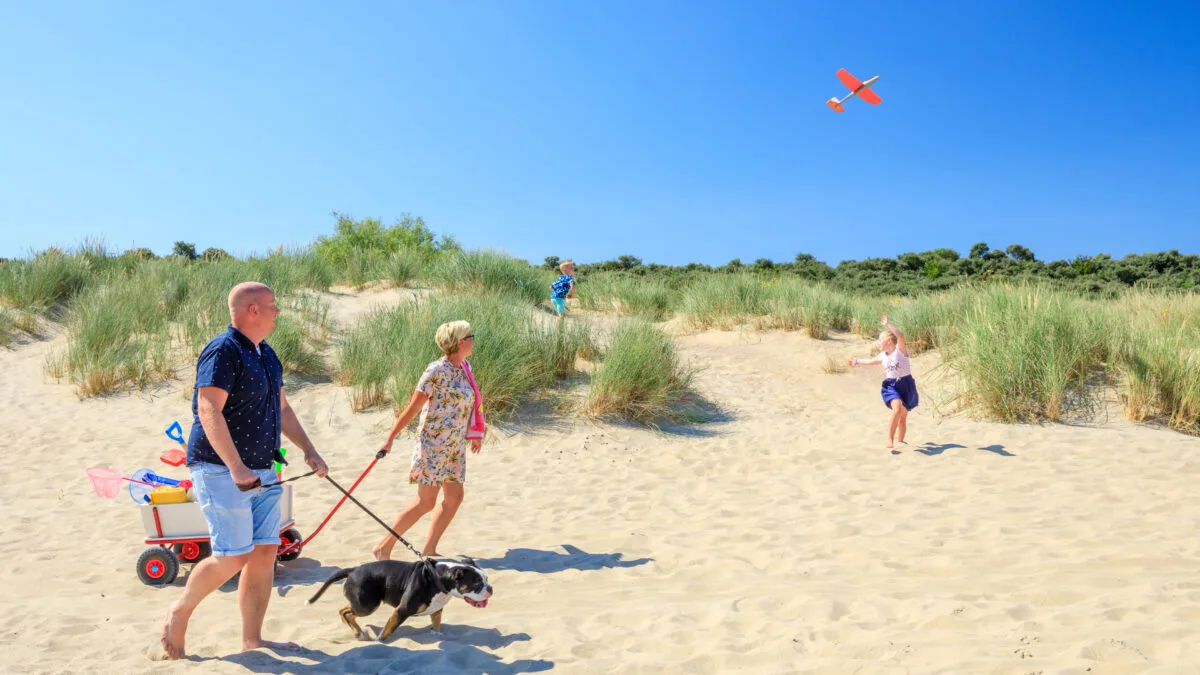 Strand Renesse