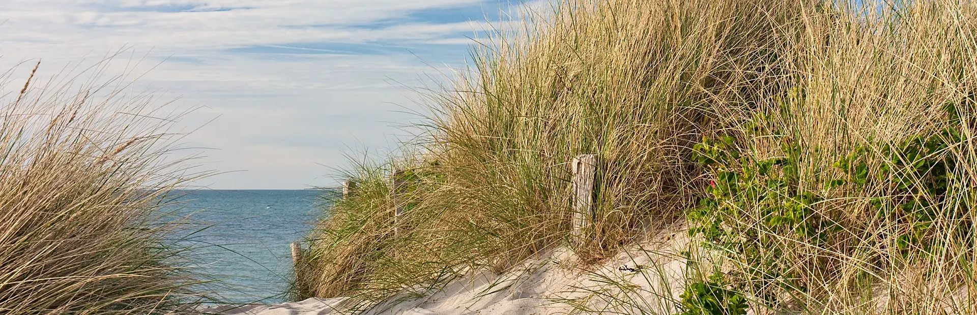 Strand Renesse