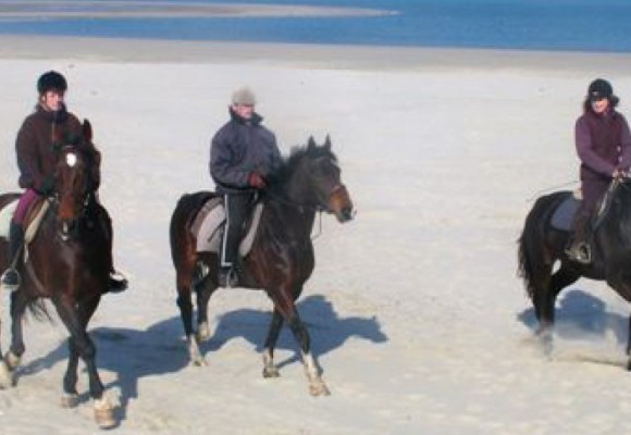 Horse riding in Renesse